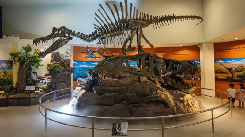 Korat Fossil Museum(1)