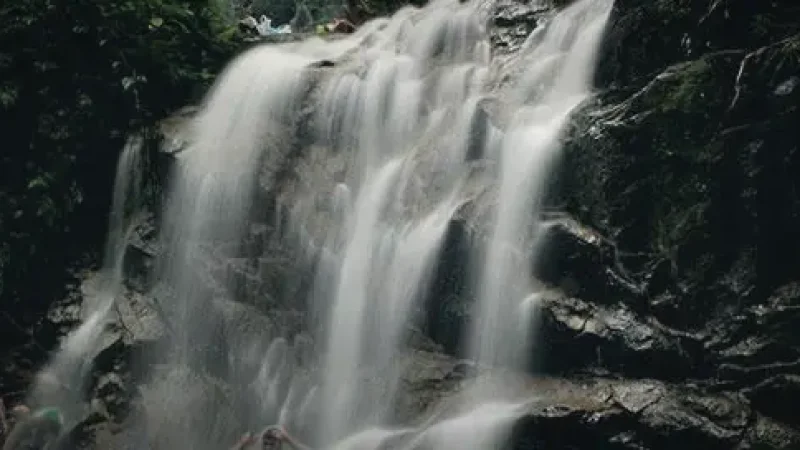 Kota Tinggi Waterfalls(2)