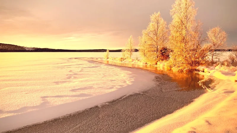 Kottlasjön Lake(6)