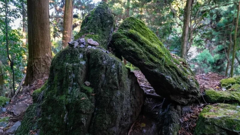 Koyasan Choishi Michi Trail(4)