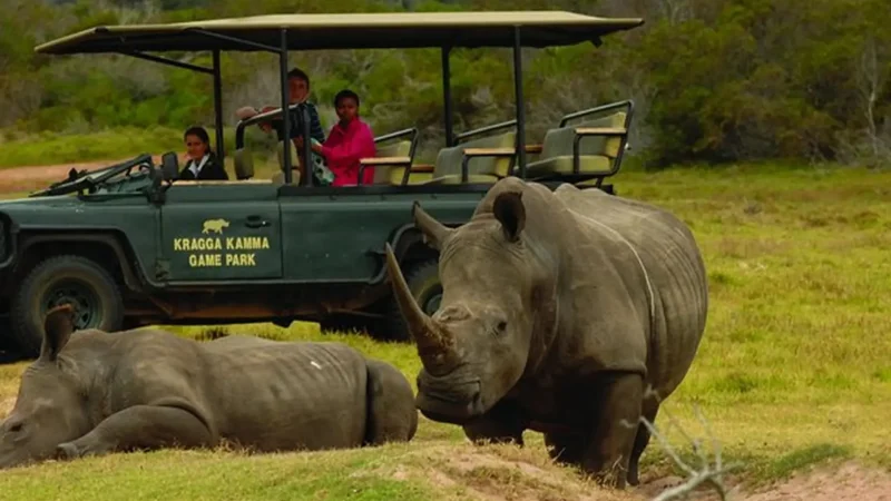 Kragga_Kamma_Game_Park_тАУ_Wildlife_experiences_01