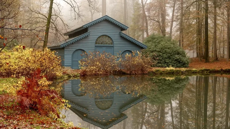 Kroondomein_Het_Loo_Forests_05