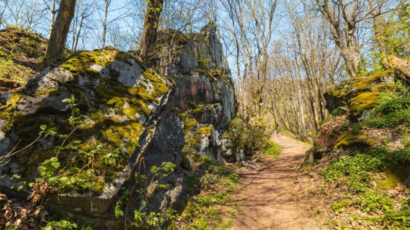Książ_Landscape_Park_05