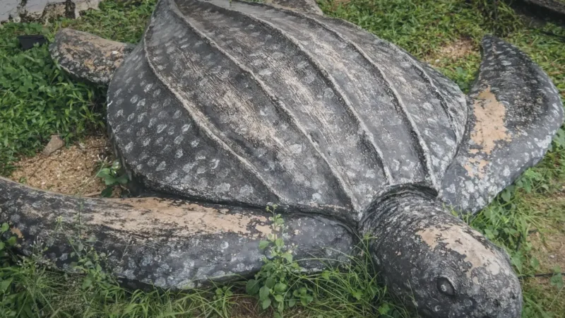 Kuala Terengganu Turtle Alley(3)