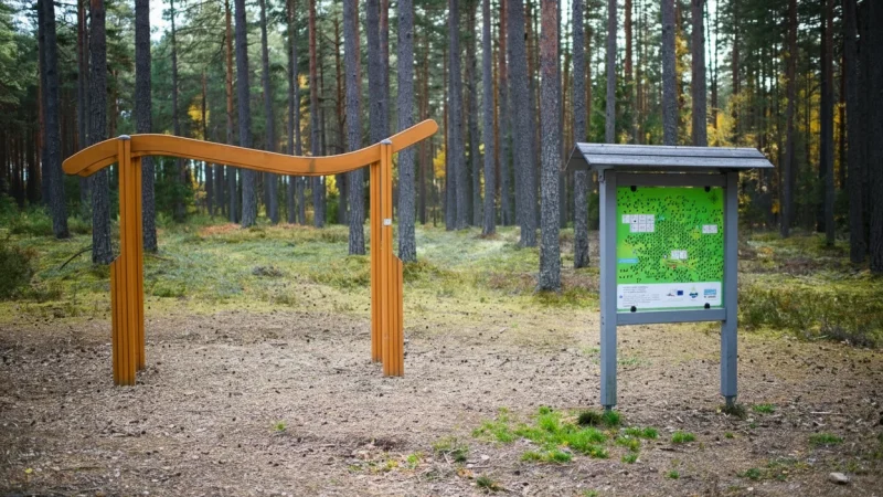 . Kubija Nature Trails – Forest walking routes(6)