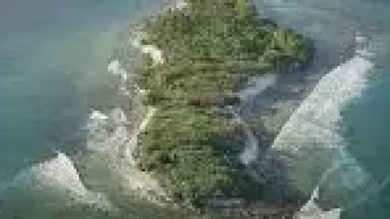 Kulhudhuffushi Mangrove(1)