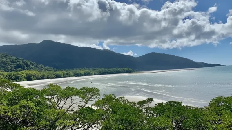 Kulki Lookout – Coastal rainforest viewpoint(3)