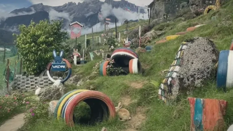 Kundasang Rabbit Farm(5)
