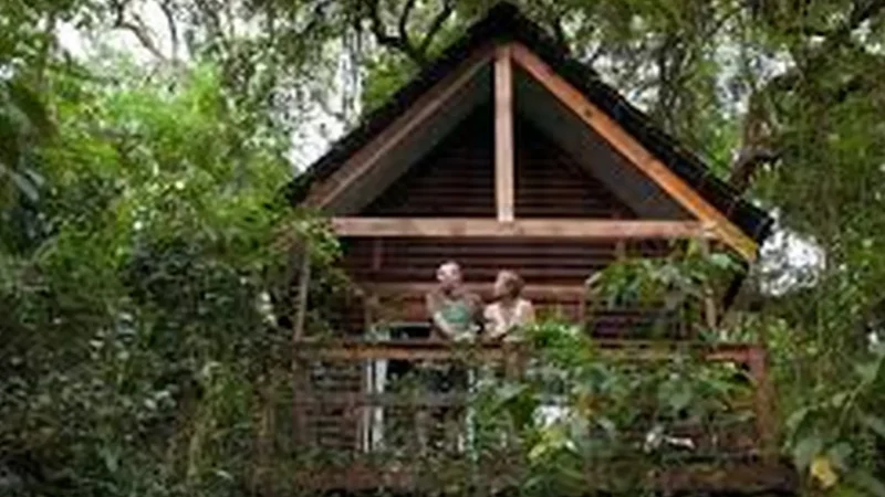 Kurisa_Moya_тАУ_Forest_retreat_02