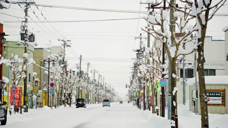 Kutchan Town(1)