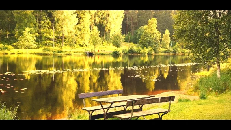 Kypesjön Nature Reserve(5)