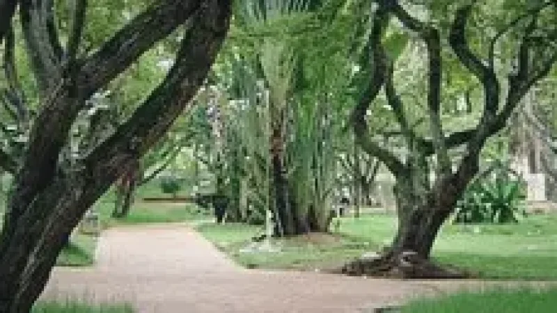 La Flora Ecological Park – Nature walks(2)