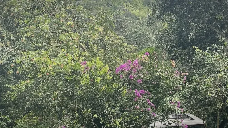 La Martinica Natural Reserve – Outdoor walks(2)