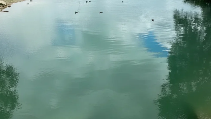 Lac de Paladru – Clear blue lake(1)