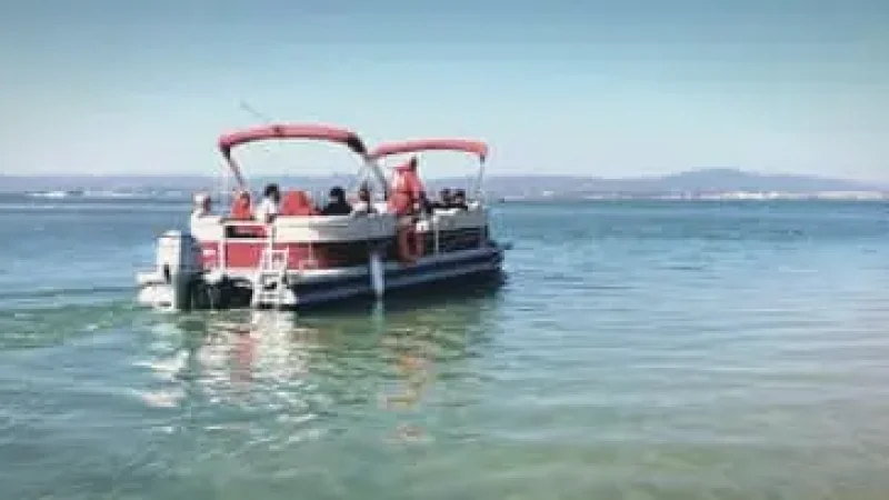 Lagoon Boat Tours – Guided nature trips(4)