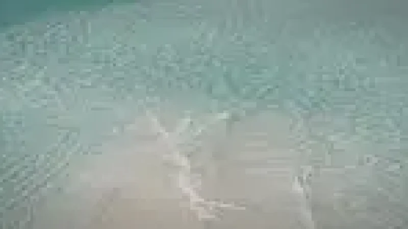 Lagoon Viewpoint – Calm turquoise shallow wat(3)