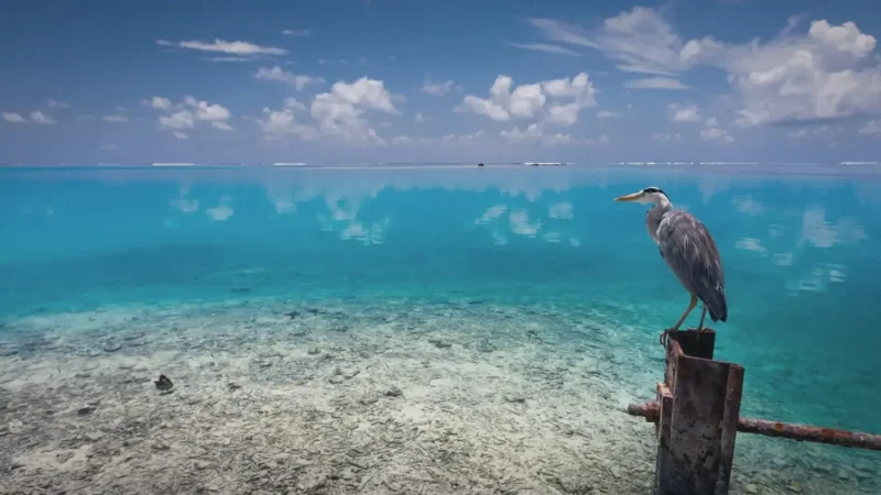 Lagoon Viewpoint – Turquoise water ideal for relaxing and photos(5)