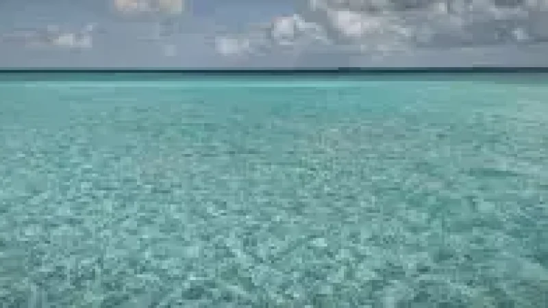 Lagoon Viewpoint(1)