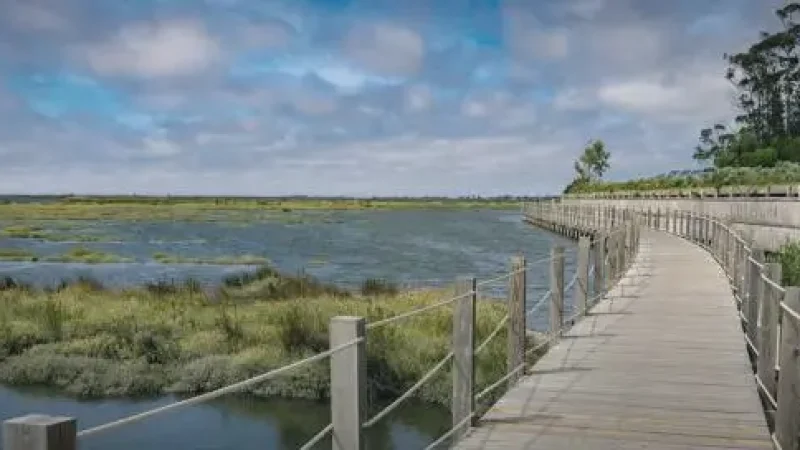 Lagoon Walking Paths(2)