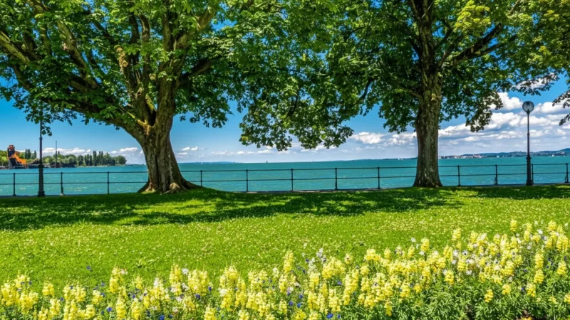 Lake Constance Promenade – Lakeside Walking Area (Bregenz)(6)