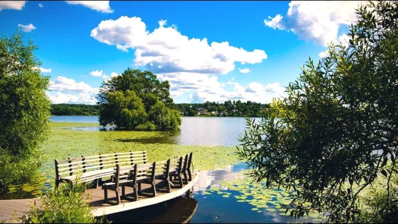 Lake Mälaren Shoreline(8)
