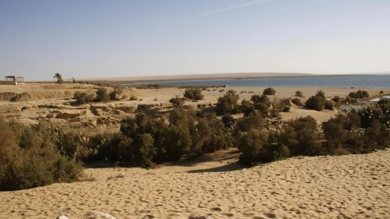 Lake Qarun – Large Natural Saltwater Lake(2)