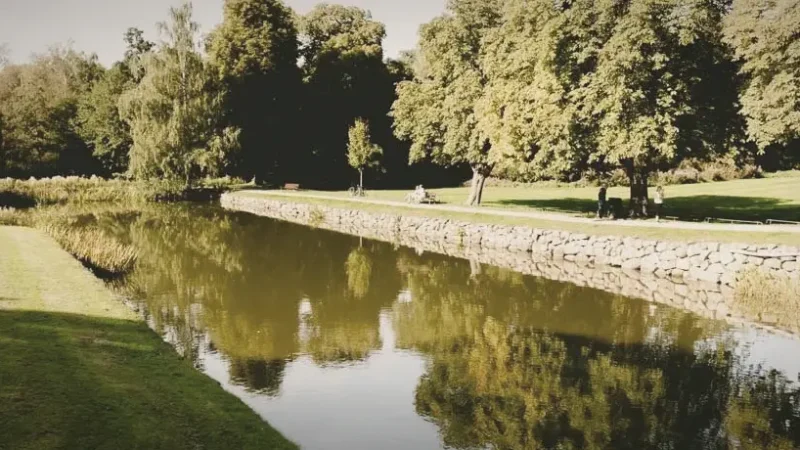 Lake Walking Paths – Calm lakeside routes(5)