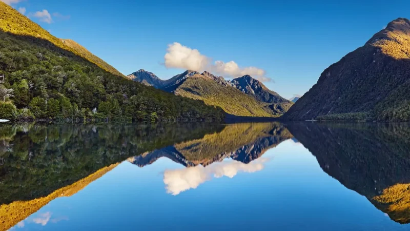 Lake_Gunn_тАУ_Short_nature_walks_02