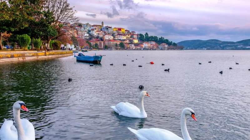 Lake_Orestiada_01
