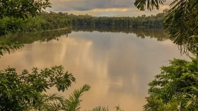 Lake_Sandoval_–_Wildlife-rich_oxbow_lake__04