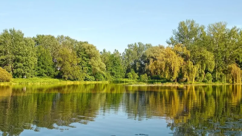 Lake_Wilanów_02
