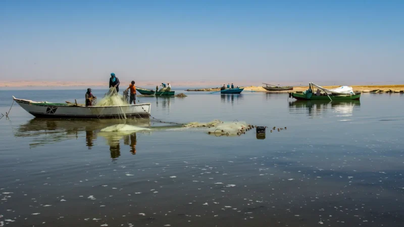 Lakeside Fishing Areas – Traditional Fishing Life(6)