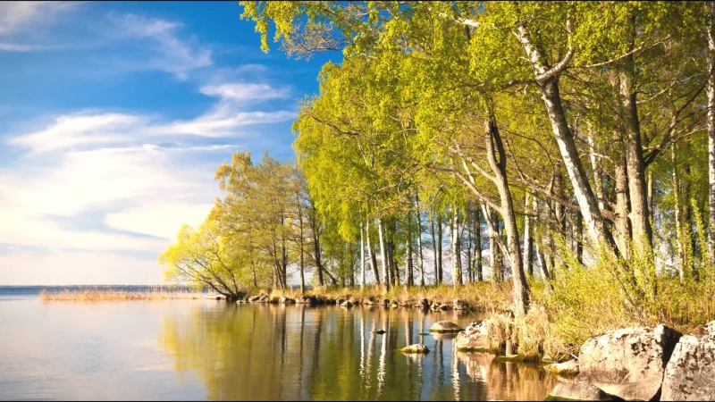 Lakeside Walking Paths(4)