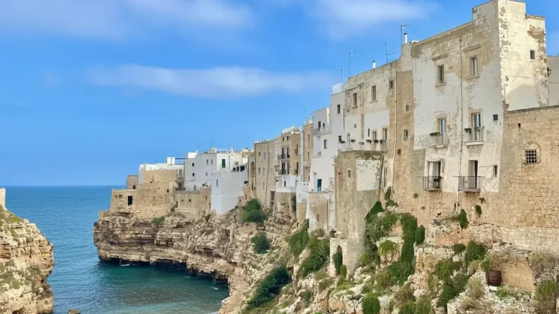 Lama Monachile (Cala Porto Beach)(4)