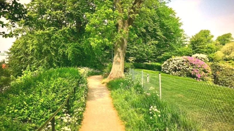 Landborgspromenaden – Elevated walking path with sea views(4)