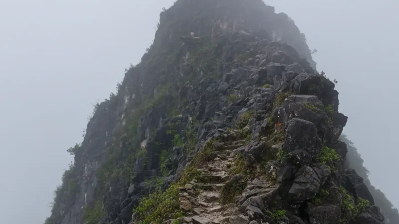 Langbiang Mountain(4)