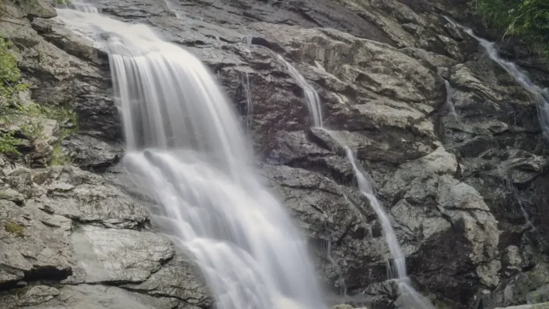 Laverty Falls – Forest waterfall trail(6)