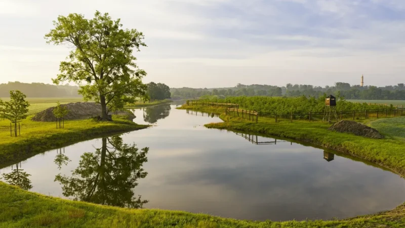 Lednice Castle Gardens – Formal Gardens & Parkland(3)