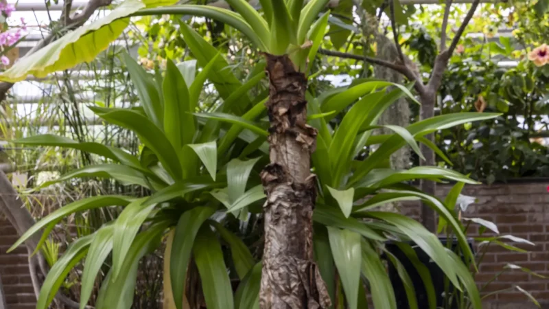 Leiden_University_&_Hortus_Botanicus_Leiden_04