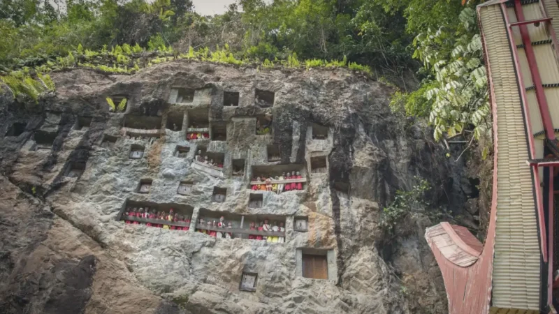 Lemo Cliff Graves(4)