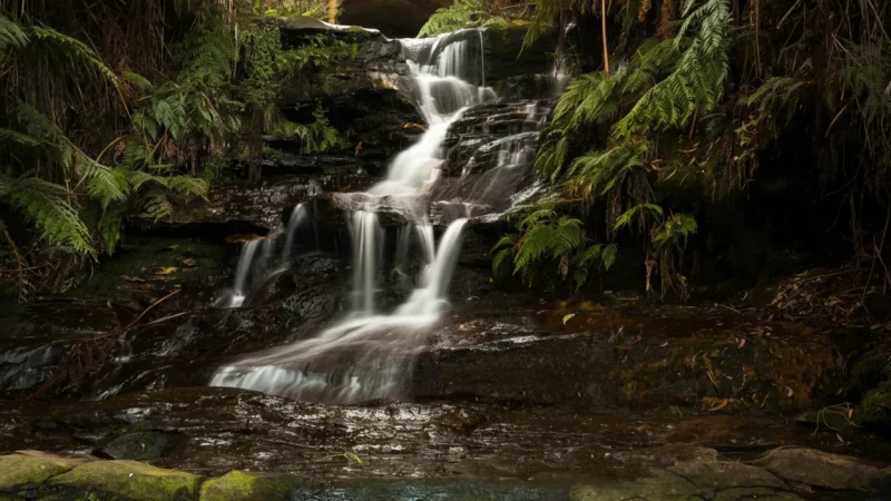 Leura Cascades – Waterfalls(4)