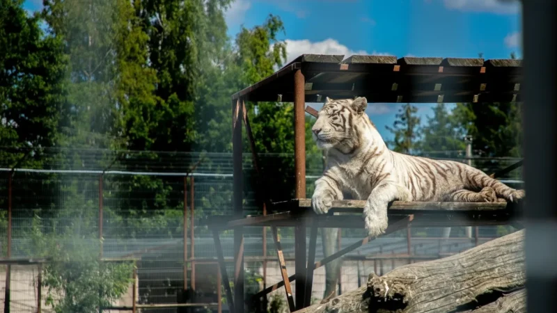 Liberec Zoo – Historic Zoological Garden(3)