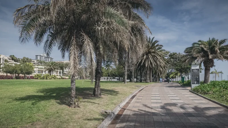 Lido Promenade – Coastal walking area(4)