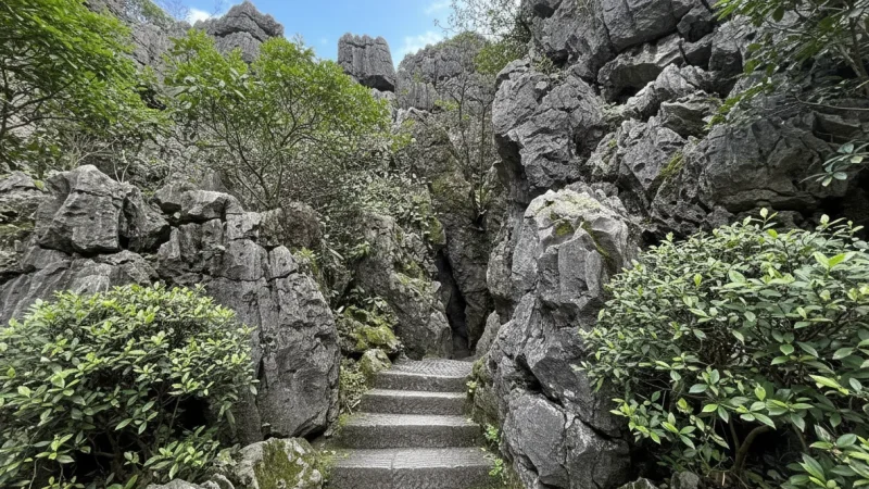 Limestone Maze Paths – Unique natural routes(5)