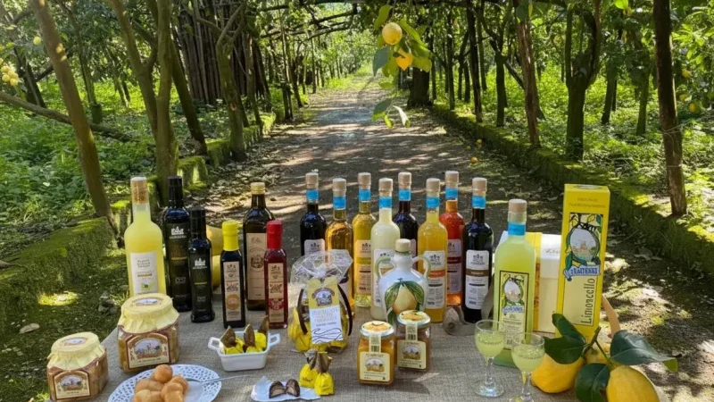 Limoncello Factories(3)
