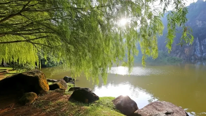 Little Guilin (Bukit Batok Town Park)(1)