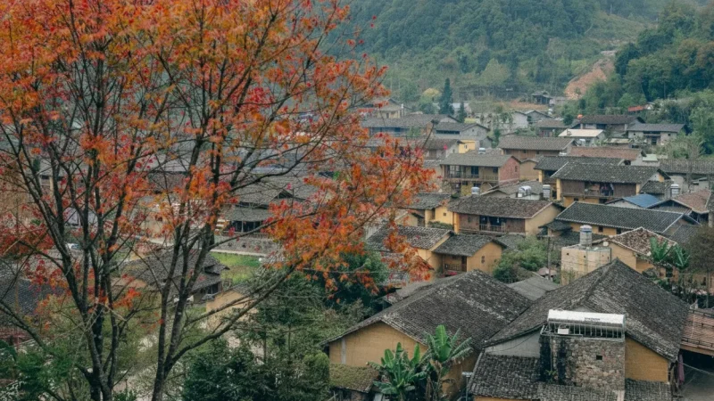 Lô Lô Chải Village – Traditional houses(3)