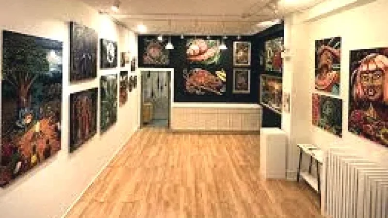 Local Art Galleries – Independent exhibition space(3)