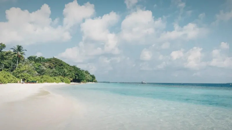 Local Beach Area – Calm swimming shoreline(3)