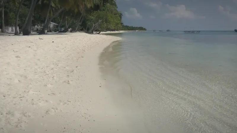 Local Beach Area – Calm swimming shoreline(4)